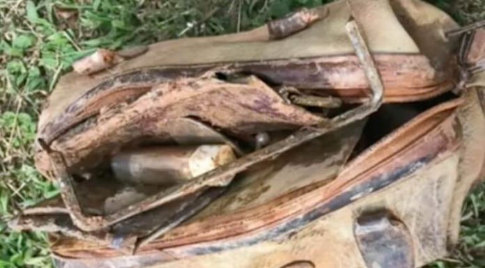 古いバッグを釣り上げて中身を見た少年が警察に通報したワケとは?