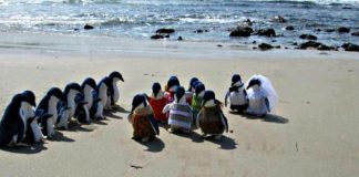 As 27 fotos de praia mais engraçadas (algumas foram longe demais…)