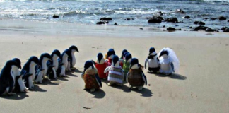 最高に笑えるビーチの写真27選(ヤバすぎる光景も…)