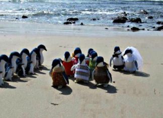 The 27 Funniest Beach Pictures (A few went too far…)