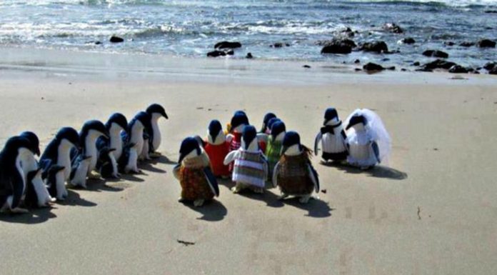 The 27 Funniest Beach Pictures (A few went too far…)